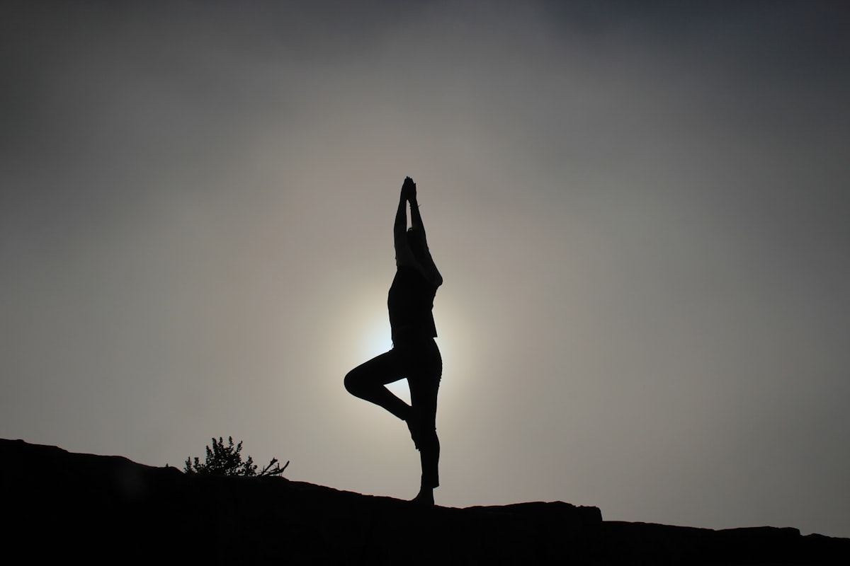 Community wellness support